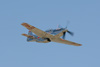 RN7_6730wt.jpg