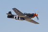 RN7_6763wt.jpg