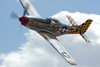 RN7_9530wt.jpg