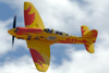 RN7_9573dt.jpg