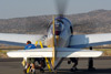 RN7_6951wt.jpg