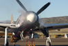 8RN_4258t.jpg