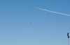 8RN_4684t.jpg