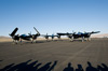 RN8_0875t.jpg