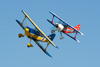 RN8_1094t.jpg