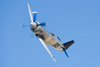 RN8_2334t.jpg