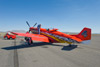 RN8_0133t.jpg