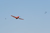 RN8_2976t.jpg