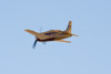 RN8_3199ct.jpg