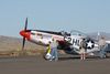 8RN_4181ct.jpg