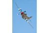 RN8_1876t.jpg