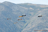 Reno_2010_11512t.jpg