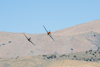 Reno_2010_2290ct.jpg