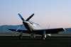 Reno11_4990t.jpg