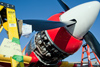Reno11_4318t.jpg