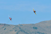 Reno12_13266t.jpg