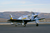 Reno12_8456t.jpg