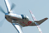 Reno06_8533t.jpg