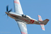 Reno06_9992t.jpg