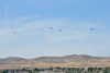 Reno12_8141t.jpg