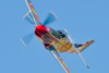 Reno12_12760t.jpg