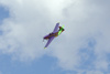 RN7_r0161wt.jpg