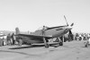 Reno1968_44-73856_ro1_8063t.jpg