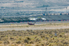 Reno2006_28183t.jpg