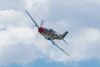 Reno2013_61850t.jpg