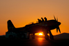 Reno2013_65828t.jpg