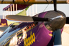 Reno_2014-52002t.jpg
