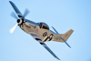 Reno_2014-42626t.jpg