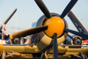Reno_2014-62338t.jpg