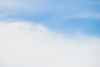 Reno_2014-64540t.jpg