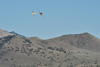 Reno_2015-152838t.jpg