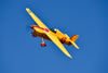 Reno_2015-153787t.jpg