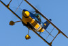 CurtisFowles-Reno2016-161274t.jpg