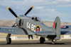 CurtisFowles-Reno2016-160233t.jpg