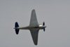 CurtisFowles-Reno2016-160589t.jpg