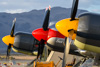 CurtisFowles-Reno2016-160756t.jpg