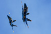 CurtisFowles-Reno2016-163428t.jpg