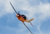 CurtisFowles-Reno2016-165727t.jpg