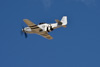 CurtisFowles-Reno2016-68337t.jpg