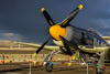 CurtisFowles-Reno2016-68714t.jpg