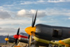 CurtisFowles-Reno2016-68723t.jpg