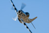 CurtisFowles-Reno2016-162448t.jpg