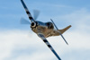 CurtisFowles-Reno2016-165792t.jpg