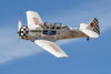 CurtisFowles-Reno2016-164765t.jpg