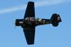 CurtisFowles-Reno2016-164775t.jpg