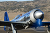 CurtisFowles-Reno2016-162716t.jpg